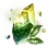 [Event] Transform Crystal