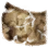 Map to Velia