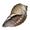 [Event] Faded Turban Shell