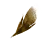 [Event] Big Black Feather