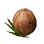 [Event] Terrmian Coconut
