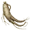 Frail Lakiaro
