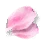 [Event] Fresh Cherry Blossom Petal