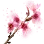[Event] Vibrant Cherry Blossom Branch