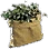 [Event] Ineffective Herb Bundle