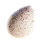 [Event] Turkey Egg