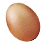 Fresh Egg