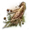 [Event] Unknown Herb