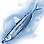 [Event] Plump Chilly Smelt