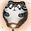 [Event] Tiger Wish Lantern