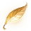 [Event] Golden Leaf