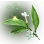[Event] Fragrant Spring Herb