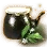 [Event] Spring's Herbal Decoction