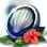[Event] Terrmian X Sea Palace Seal
