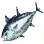 [Event] Silver-shimmering Tuna
