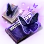 [Event] Secret Scroll of Black Butterfly