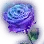 Flower of Oblivion