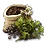 Bundle of 10 Withered Grape Seeds