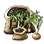 Bundle of 10 Onion Seeds