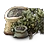 Bundle of 10 Olive Seeds