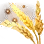[Season] Golden Barley
