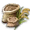 Bundle of 5 Rice Seeds