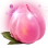[Event] Sweet Peach