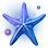 [Event] Terrmian Starfish