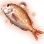 [Event] Sunset Red Seabream