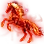 [Event] Red Horse's Aura