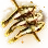 [Event] Yellow Corvina of Golden Fortune