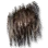 Desert Tyrant's Mane