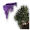 Awakened Dim Tree Spirit Summon Scroll Piece