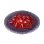 [Event] Beef Ribs