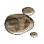 Melted Saunil Steel Shard