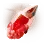 Ancient Narc's Crimson Tear