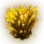 Musical Spirit's Sound Stone