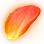 Dawnwish Petal