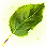 Valtarra's Nail