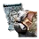 Fat Catfishman Summon Scroll