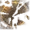 [Guild] Incomplete Leanar's Celestial Map