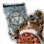 Fogan Chieftain Summon Scroll