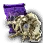 [Guild] Ancient Kutum Summon Scroll
