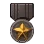 History Society's Contribution Medal