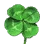 Small Four-leaf Clover