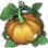Ripe Pumpkin