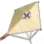 Lost Florin Kite
