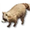 Cute Raccoon
