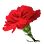 [Event] Vanacil's Blossom