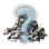 Remnants of a Mysterious Chest